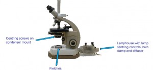 Setting up Köhler illumination for a microscope – Quekett Microscopical ...