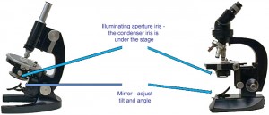 Setting up Köhler illumination for a microscope – Quekett Microscopical ...