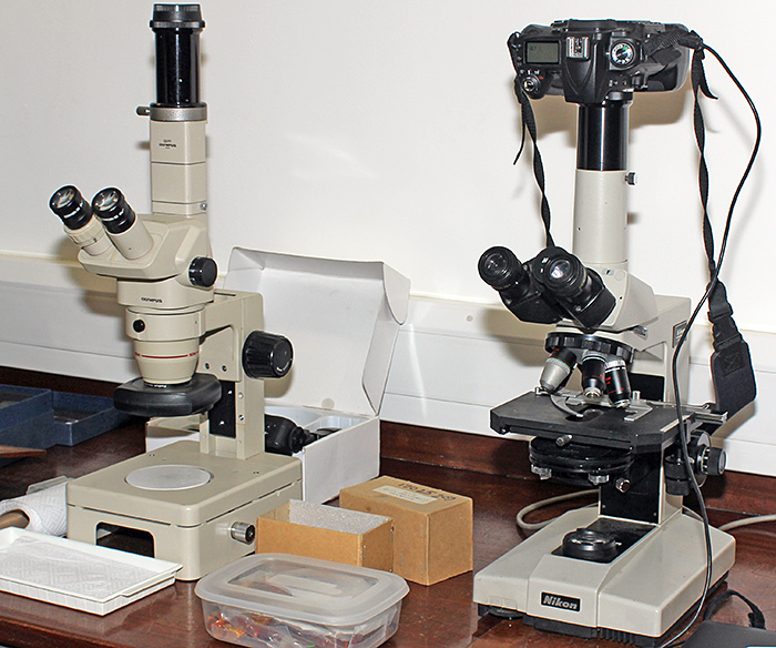 Microscopes with adapters for Nikon digital SLR cameras