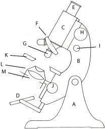 Diagram of a microscope