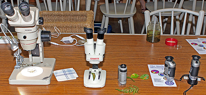 Microscopes and specimens to interest children