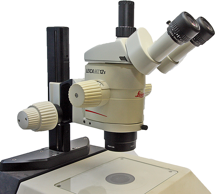 Modern stereomicroscope