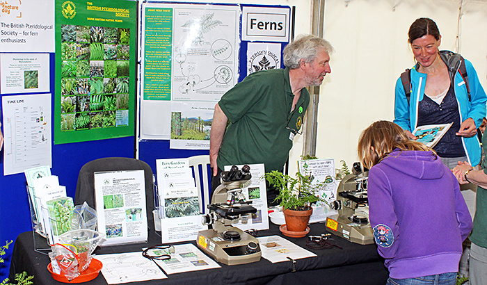 Pteridological Society stand