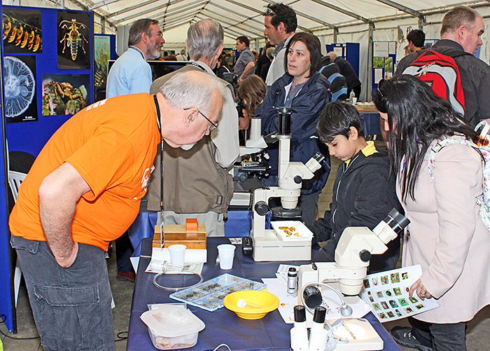 Visitors to the Quekett stand