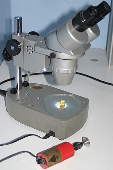 Stereomicroscope converted to LED illumination