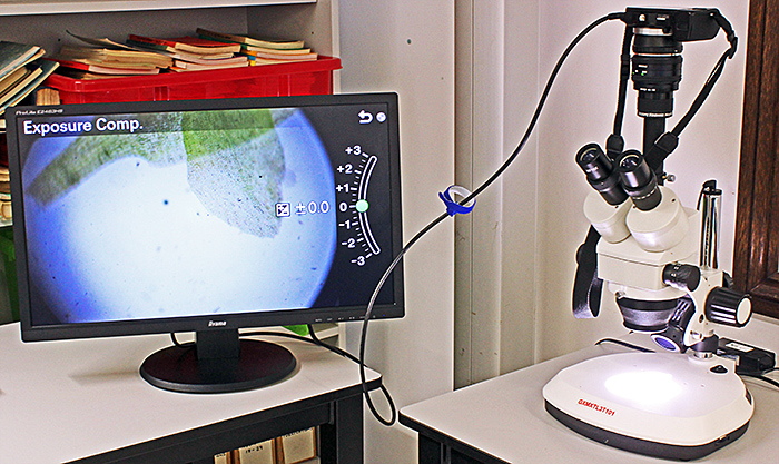 Stereomicroscope with monitor