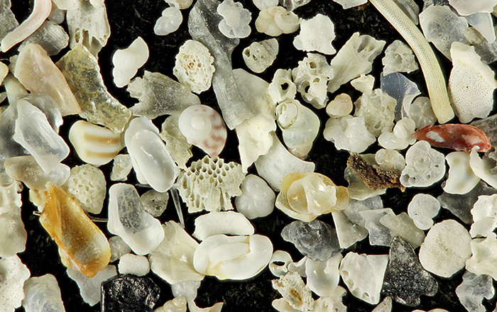 Sand from Dog’s Bay