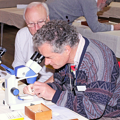 Roger Booth using our stereomicroscope