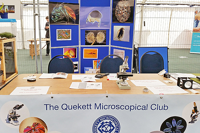 Quekett Microscopical Club stand