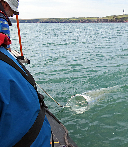 Plankton net being towed