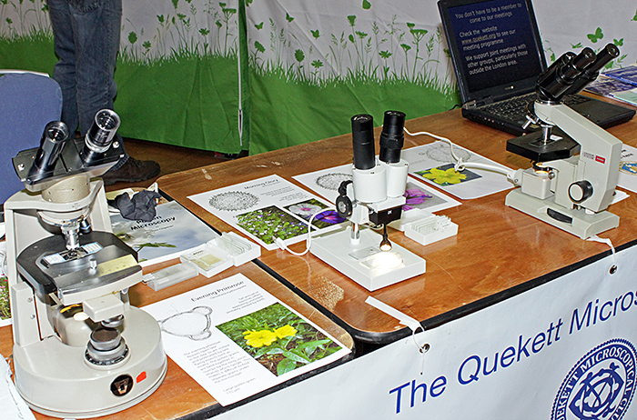 Microscopes on the Quekett stand
