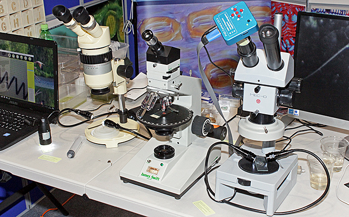 Microscopes on the stand