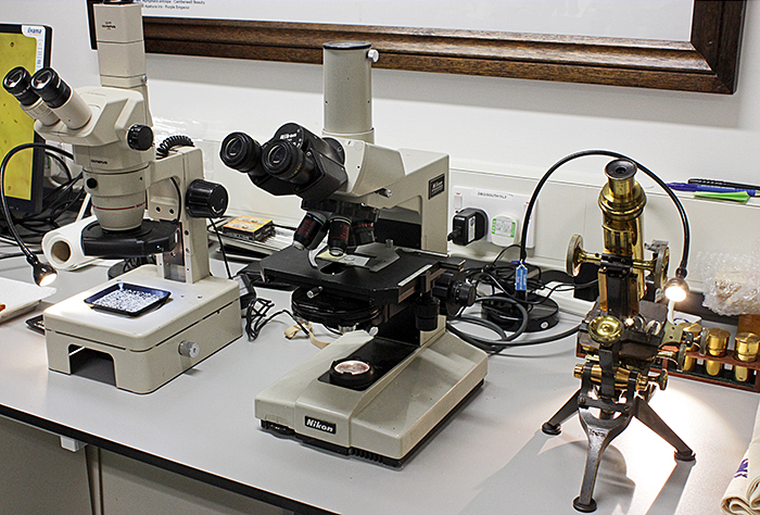 Olympus SZ4045 stereomicroscope, Nikon Labophot compound microscope and brass Watson Royal compound microscope