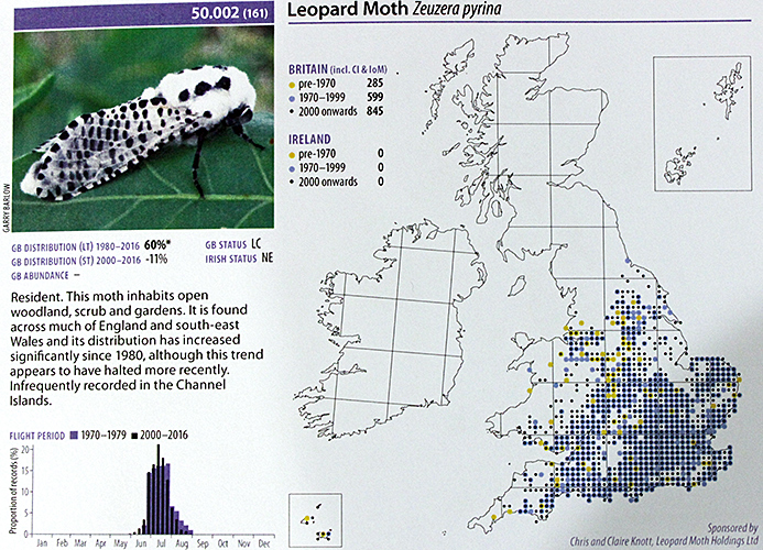 Distribution map of leopard moth