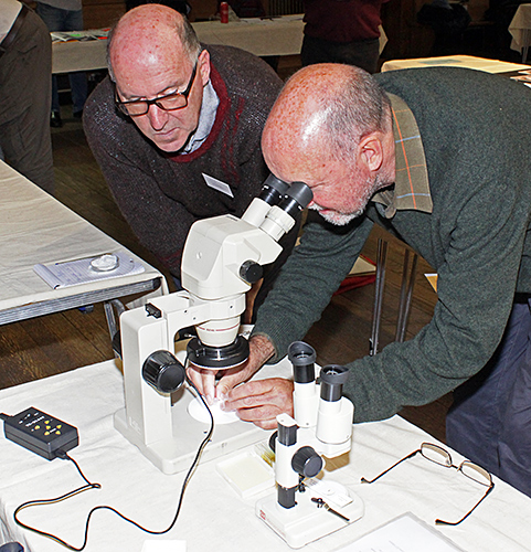 Visitors using our stereomicroscope