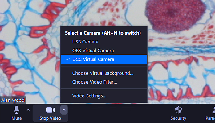 Selecting a camera in Zoom