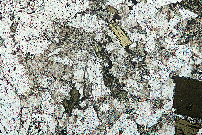 Quartz diorite, no polarisers