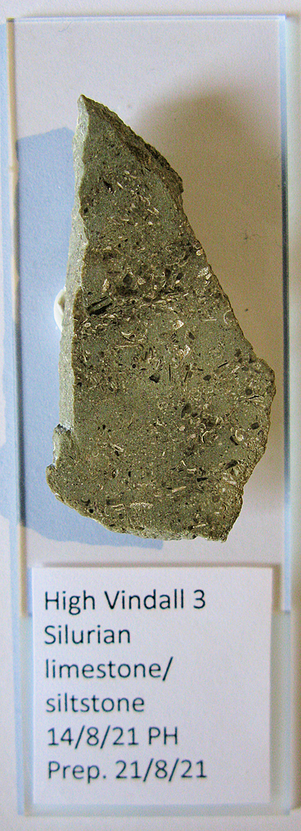 Slide of Silurian limestone-siltstone