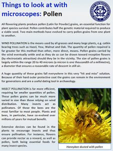 Pollen leaflet