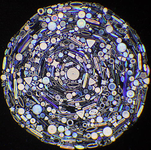 Exhibition circle of 1050 diatoms by Klaus Kemp