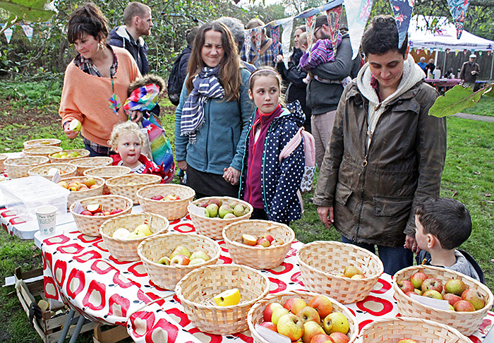 Tasting apples from the orchard