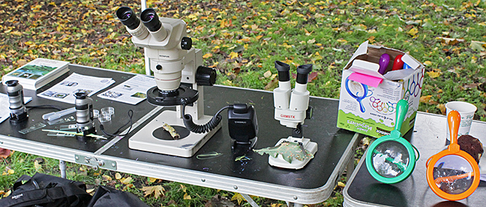 Microscopes and magnifiers