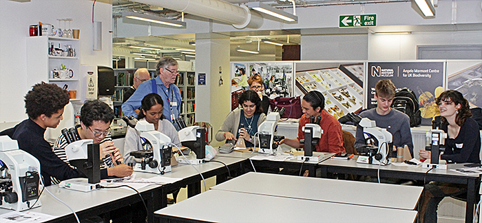 Students and microscopes