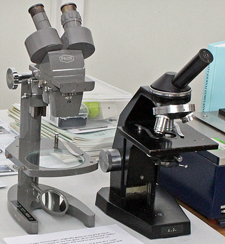 Pam Hamer’s microscopes for sale
