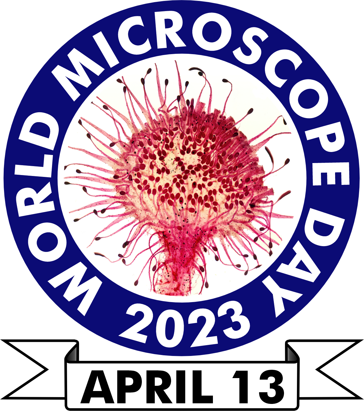 2023 World Microscope Day Report Quekett Microscopical Club