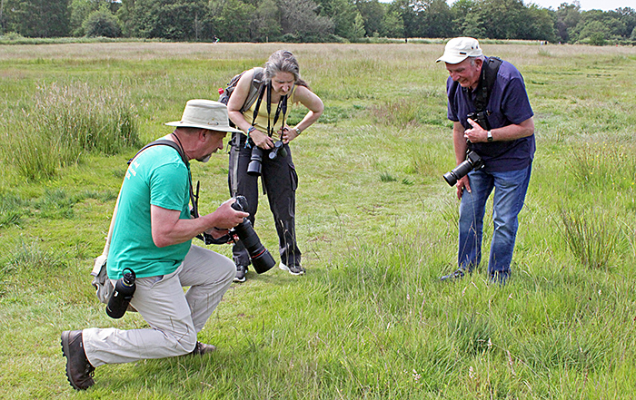 Photographing specimens on the plain