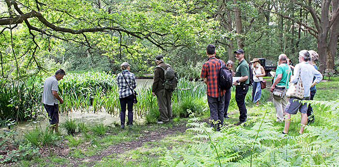 Group at Hookhamslade pond