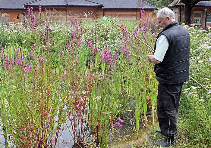 Mark Berry collecting from the new pond