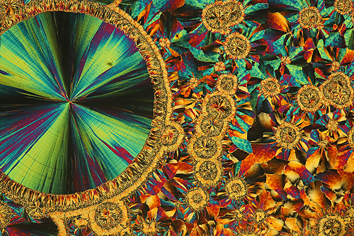 James Rider: Salicine crystal slide