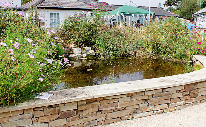 New pond in Wildlife Garden