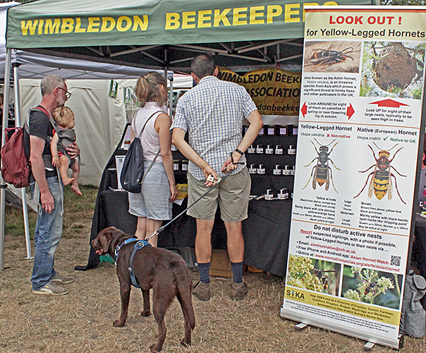Wimbledon Beekeepers