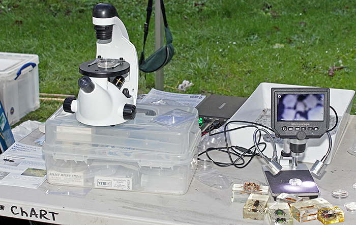 Inverted microscope and digital microscope