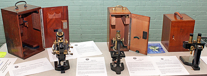 Joan Bingley’s brass and glass microscopes