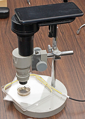 Myacope microscope