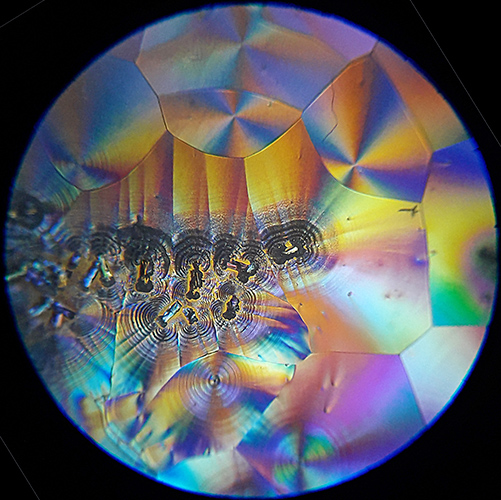 Vitamin C crystals