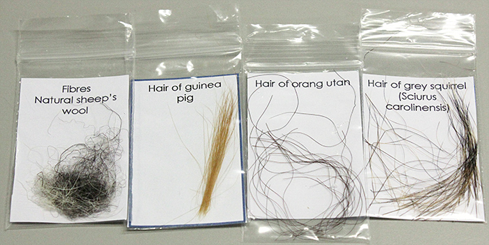 Hair samples