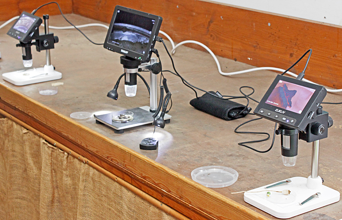 Digital microscopes