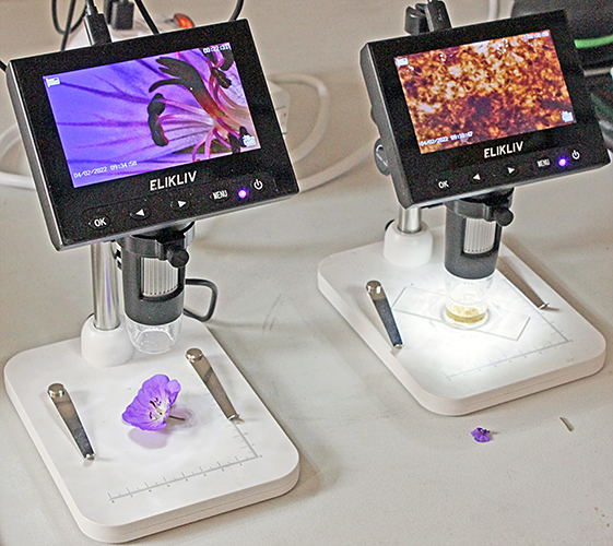 Digital microscopes
