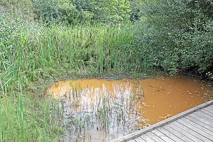 Dipping pond