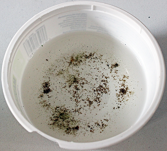 Reed bed sample