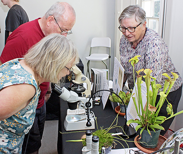 Joan Bingley with visitors