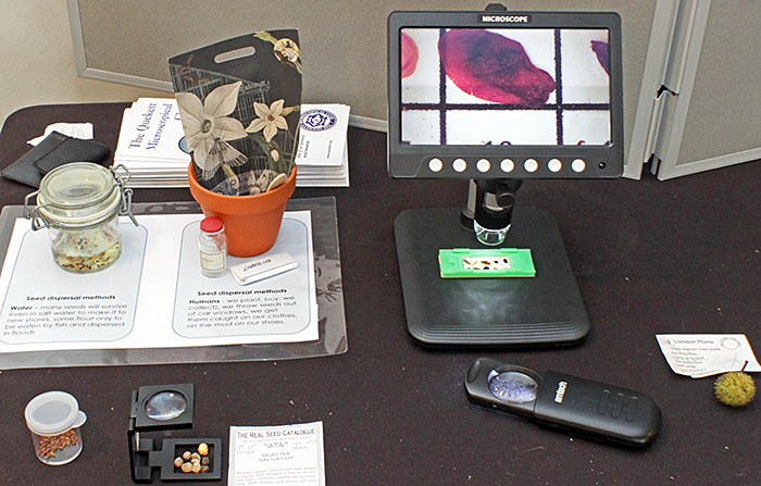 Lisa Ashby’s display