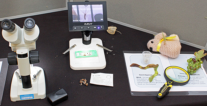Lisa Ashby’s display