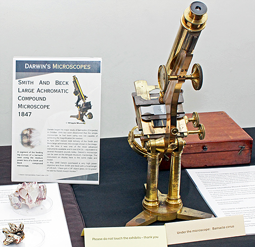 Smith & Beck Large Achromatic microscope