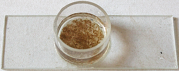 Specimen chamber
