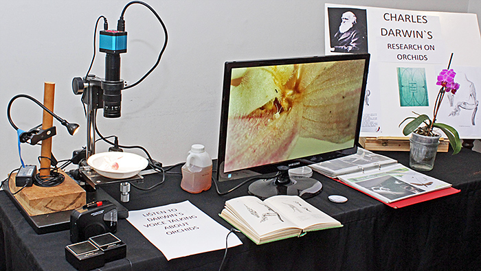 Terry Hope’s display